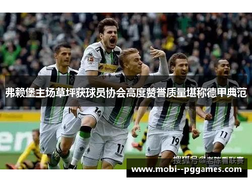 弗赖堡主场草坪获球员协会高度赞誉质量堪称德甲典范 弗赖堡主场草坪获球员协会高度赞誉质量堪称德甲典范