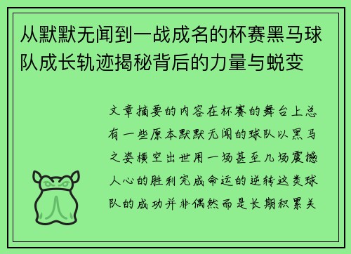 从默默无闻到一战成名的杯赛黑马球队成长轨迹揭秘背后的力量与蜕变